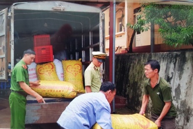 Lượng lớn quả trám trắng không rõ nguồn gốc 'tuồn' vào Việt Nam bị thu giữ