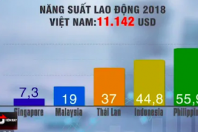 Năng suất lao động của Việt nam còn kém hơn so với các nước trong khu vực