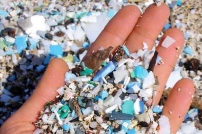 Nhựa siêu vi - Mối nguy hại lớn đối với môi trường