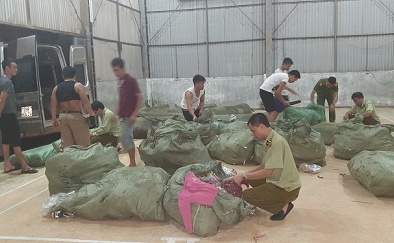 Thu giữ lượng lớn quần áo trẻ em không rõ nguồn gốc 