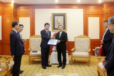 Tiếp tục vun đắp mối quan hệ chiến lược Việt Nam- Hàn Quốc