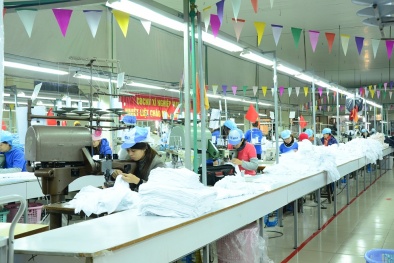 5S – công cụ cải tiến không thể tách rời của quá trình sản xuất