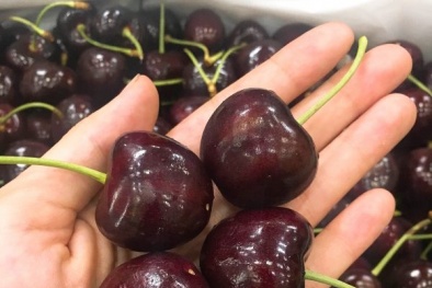 Những trái cây, thực phẩm giá rẻ từ Mỹ đang ‘làm mưa làm gió’ trên thị trường 