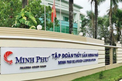 Nửa năm, lợi nhuận gộp ‘vua tôm’ Minh Phú giảm 10% 