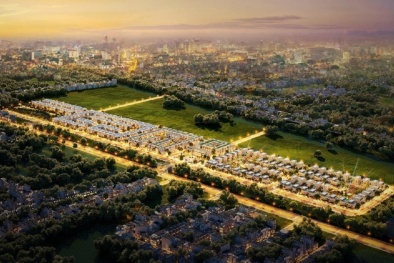 Xứ sen hồng vươn mình nhờ thương hiệu 'Đồng Tháp – PCI' 