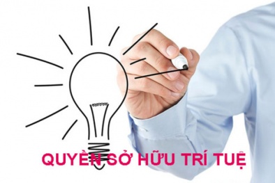 Chiến lược sở hữu trí tuệ đến năm 2030