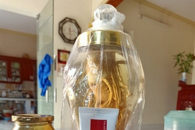 Chiêu trò bán hồng sâm Hàn Quốc với giá “cắt cổ”: Chỉ cần uống sâm thải độc, mọi bệnh tật sẽ tiêu tan?!