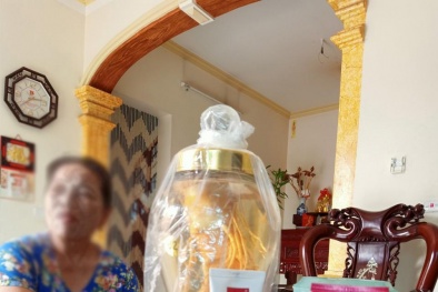 Chiêu trò bán hồng sâm Hàn Quốc với giá “cắt cổ”: Vị đắng hồng sâm! 