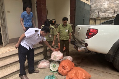 Thu gom mỡ lợn đã bốc mùi hôi thối về thành phố Lạng Sơn bán kiếm lời