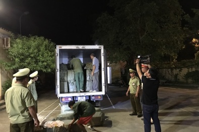 Thu gom nầm lợn không rõ nguồn gốc về các tỉnh bán cho các nhà hàng 