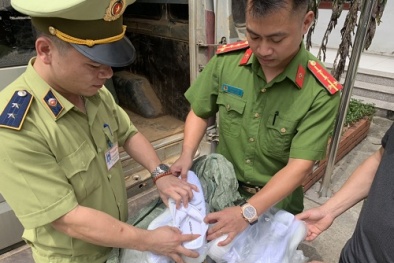 Nhập lậu hàng nghìn đôi giầy thể thao nam có dấu hiệu giả mạo nhãn hiệu 