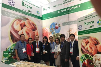 Hapro đạt danh hiệu “Doanh nghiệp xuất khẩu uy tín” năm 2018 với 3 mặt hàng chủ lực