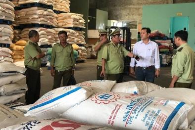 Nhập lậu đường cát công khai ngày càng diễn biến phức tạp