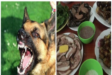 Nguy cơ bệnh tật, thậm chí tử vong nếu ăn thịt chó 