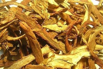 Khuyến cáo: Ngưng sử dụng vị thuốc Đan Sâm không đạt tiêu chuẩn chất lượng