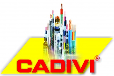 Lý do công ty CP Dây Cáp Điện Việt Nam bị xử phạt hơn 1,1 tỷ đồng