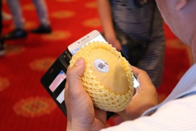 9 tháng đầu năm 2019, hoàn thành cấp mã QR cho 460 doanh nghiệp