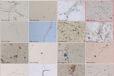 Cảnh báo nguy hiểm: Phát hiện mưa hạt vi nhựa ở Mỹ 