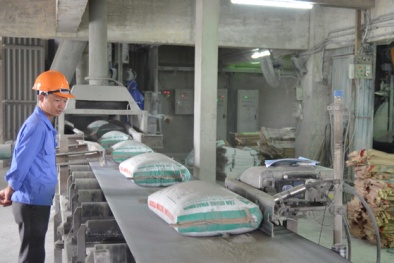Xi măng Tân Quang đẩy mạnh công nghệ, nâng cao năng suất