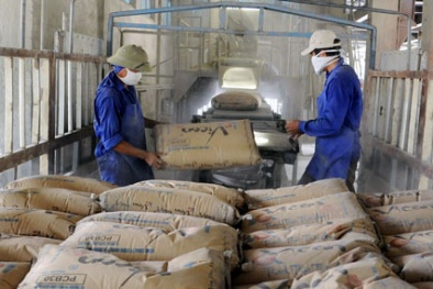 Sự ‘chuyển mình’ của Vicem trong cách mạng công nghiệp 4.0