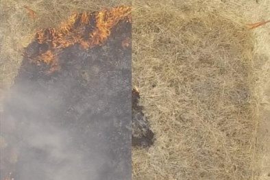 Chất chống cháy rừng mới được Mỹ chế tạo có gì đặc biệt?