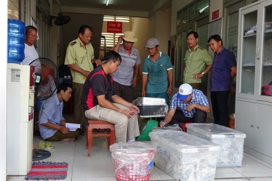 Long An xử lý trên 1.200 trường hợp vi phạm về hàng giả, hàng kém chất lượng