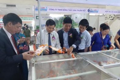 Các loại thủy hải sản đặc sắc hội tụ tại Hội chợ Thủy sản Hà Nội 2019