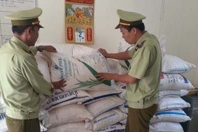 Thu giữ 3 tấn đường cát không có hoá đơn chứng từ hợp pháp