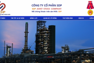 Xử phạt Công ty cổ phần SDP do công bố thông tin không đúng thời hạn
