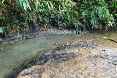  Công ty CP đầu tư nước sạch sông Đà có thể bị truy cứu trách nhiệm hình sự?