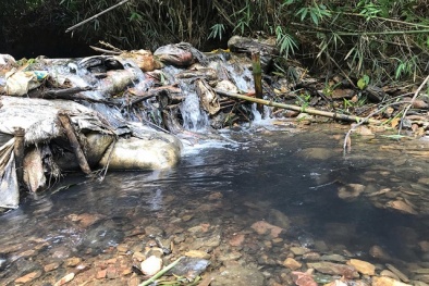 Thủ tướng chỉ đạo khẩn trương điều tra, làm rõ nguồn nước sạch sông Đà bị ô nhiễm