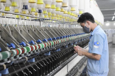 Vì sao CTCP Damsan bị xử phạt 70 triệu đồng?