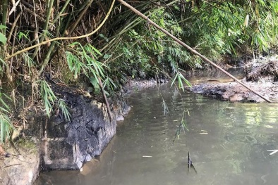 Vụ nước sạch sông Đà nhiễm bẩn: Chính thức khởi tố vụ án