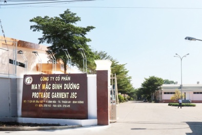 Tổng Giám đốc BDG dính ‘án phạt’do báo cáo cáo không đúng thời hạn