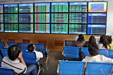 Cổ đông lớn của Công ty CP Đầu tư BVG dính ‘án phạt’