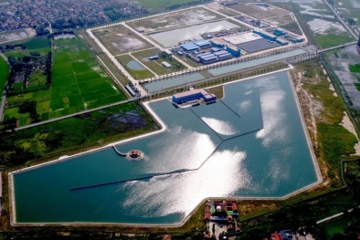 Hệ sinh thái nghìn tỷ Aqua One Group của bà Đỗ Thị Kim Liên