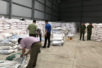 Tịch thu gần 250 tấn đường cát nhập lậu