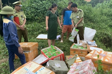 Nhập lậu chả cá, xúc xích không rõ nguồn gốc về Hà Nội tiêu thụ