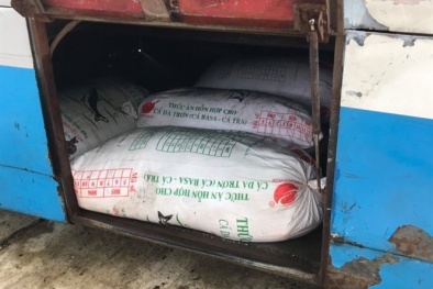 Phát hiện 4 tạ mỡ động vật không rõ nguồn gốc xuất xứ chuẩn bị mang đi tiêu thụ