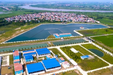 Chưa có văn bản cuối cùng chấp thuận kết quả nghiệm thu Nhà máy nước mặt sông Đuống