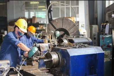 Thanh tra, kiểm tra vẫn là nỗi lo với doanh nghiệp