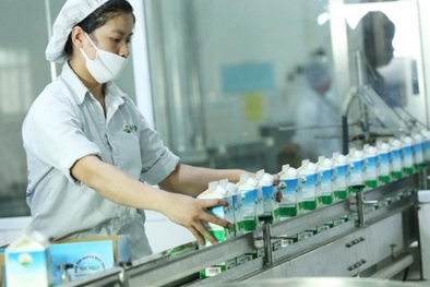 GTN Foods: Lãi ròng và doanh thu thuần ‘nắm tay’ giảm 