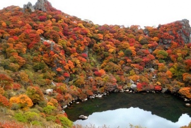 5 địa điểm với khung cảnh mùa thu không khác gì trong phim ở Đài Loan