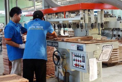 Gỗ Trường Thành lỗ gần 178 tỷ, gấp 5 lần trong quý III/2019