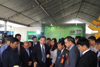 OCOP 2019- Thúc đẩy sản xuất nông nghiệp hàng hóa 