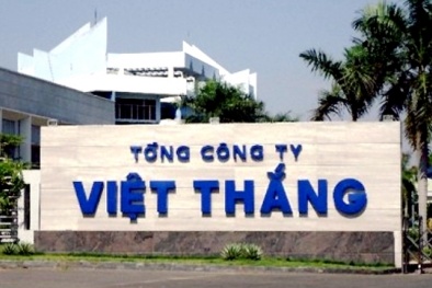 Lãi ròng TVT giảm 36%, nợ phải trả chiếm 64% tổng tài sản
