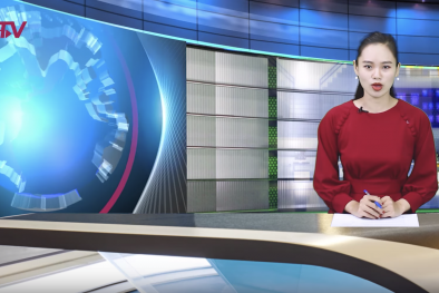 Bản tin Tiêu dùng: Sự thật mứt tết trái cây cao cấp giá chỉ 35 nghìn/kg