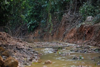 Công ty nước sạch sông Đà tự ý xả gần 3.000m3 nước súc rửa bể ra suối 