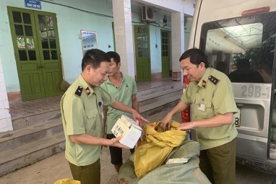 Nhập lậu túi xách giả nhãn hiệu, đồng hồ đeo tay không rõ nguồn gốc