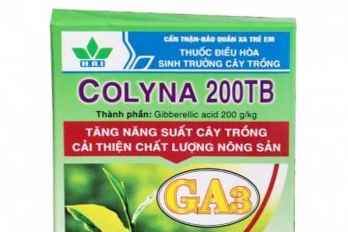 Thuốc kích thích sinh trưởng COLYNA 200TB: gia tăng năng suất – nâng cao chất lượng